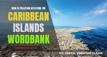 Pollution's Impact on Caribbean Islands: A Worrying Wordbank