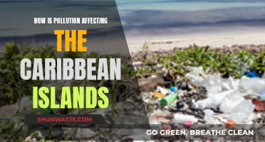 Caribbean Islands: Pollution's Impact on Paradise