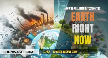 Pollution's Impact: Earth's Current State and Future