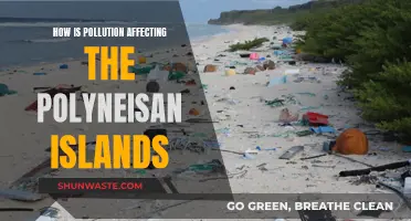 Pollution's Impact on the Polynesian Islands: A Worrying Reality