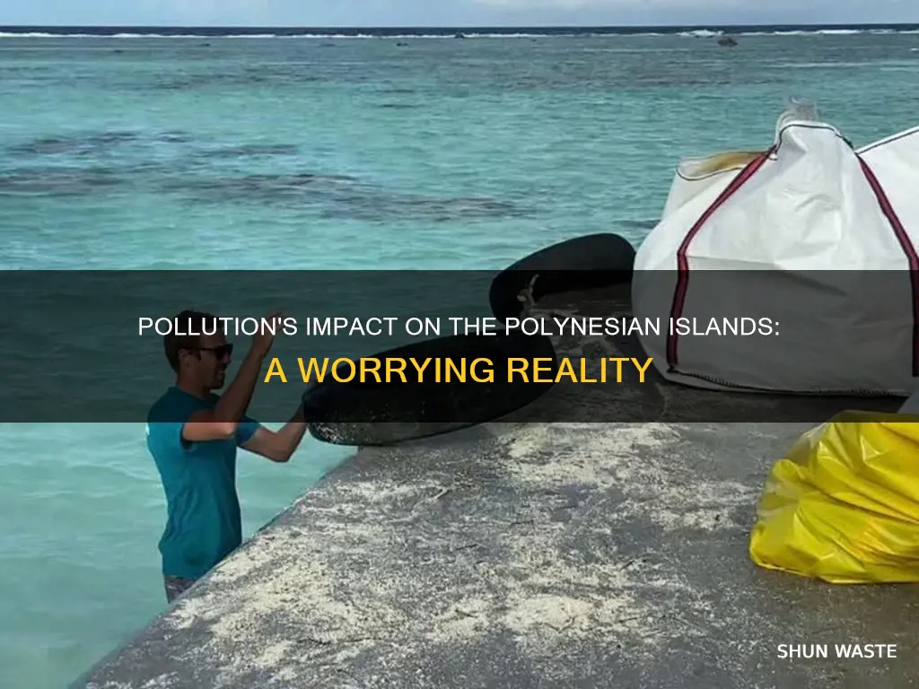 how is pollution affecting the polyneisan islands