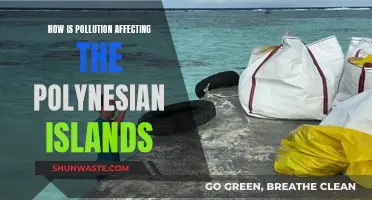 Pollution's Impact on Polynesian Islands: A Worrying Reality