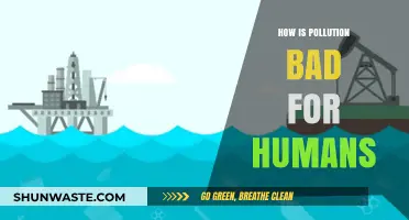 Pollution's Harmful Effects on Human Health