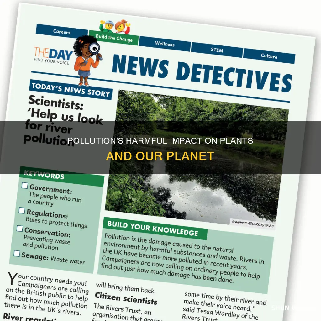 how is pollution bad for plants