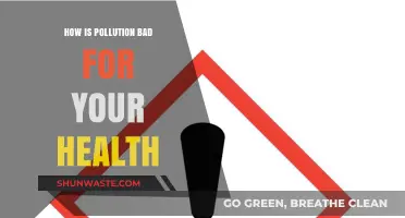 Pollution's Harmful Effects on Human Health