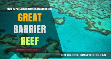 Protecting the Great Barrier Reef: Managing Pollution