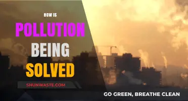 Solving Pollution: Strategies and Innovations for a Cleaner World