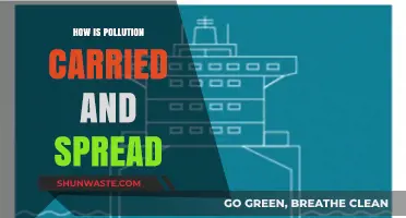 Pollution's Journey: How It Spreads and Affects Us All