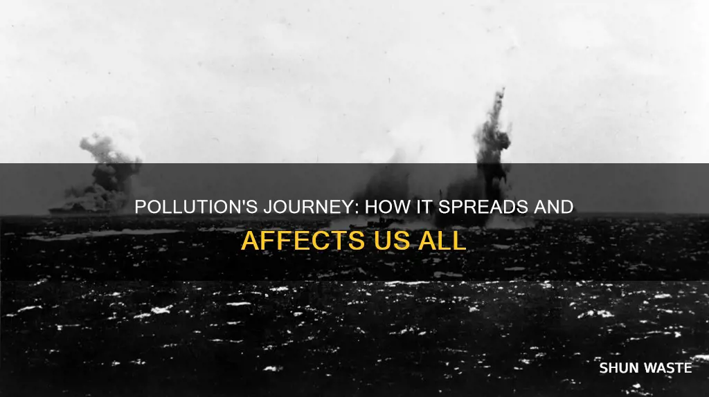 how is pollution carried and spread