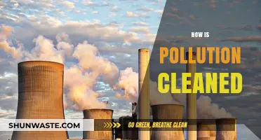 Cleaning Pollution: Innovative Methods and Future Solutions
