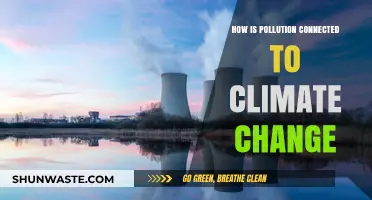 Climate Change: Pollution's Impact and Our Future