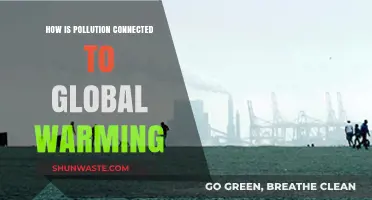 The Warming World: Pollution's Impact