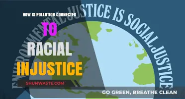 Pollution, Racial Injustice, and the Fight for Environmental Equity