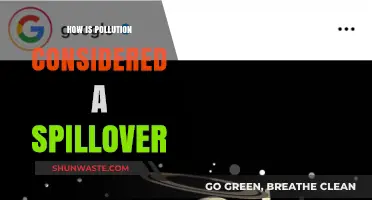Pollution's Impact: The Spillover Effect