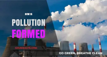 The Evolution of Pollution: Understanding Its Formation