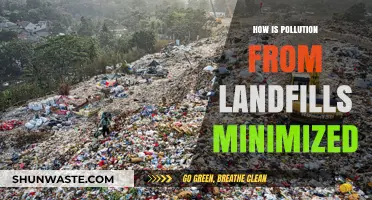 Minimizing Landfill Pollution: Strategies for a Greener Tomorrow