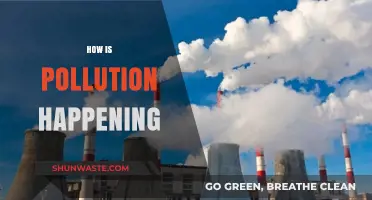The Earth Suffocates: Understanding Pollution's Rise
