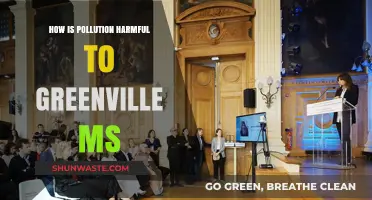 Greenville's Pollution: A Harmful Reality