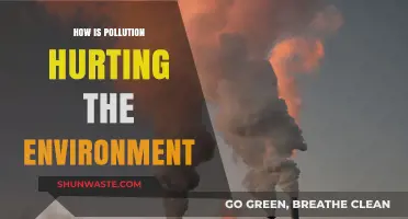 Pollution's Impact: Hurting Our Environment, Our Future