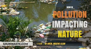 Nature's Plight: Pollution's Impact