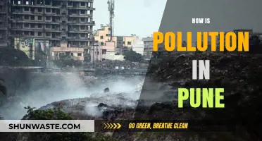 Pune's Pollution Problem: A Comprehensive Overview