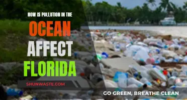 Ocean Pollution's Impact on Florida's Environment