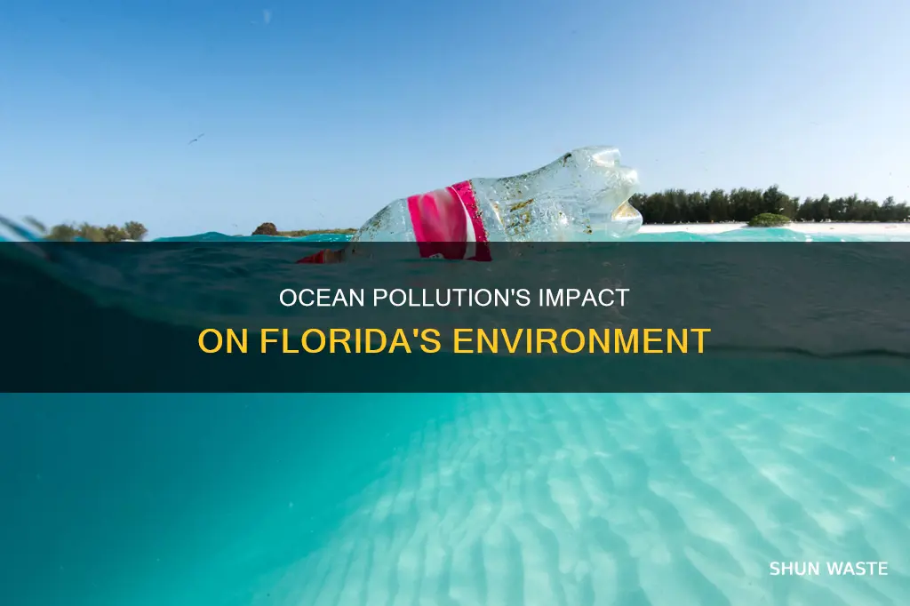 how is pollution in the ocean affect florida