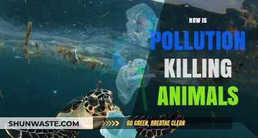Pollution's Deadly Impact on Animals