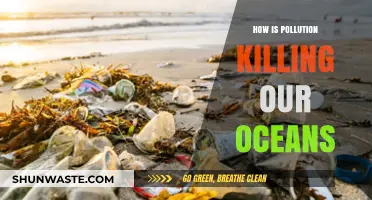 Pollution's Deadly Impact on Our Oceans