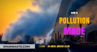 The Making of Pollution: Understanding Its Causes
