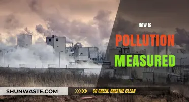 Measuring Pollution: Methods and Metrics Explained