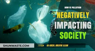 Pollution's Harmful Effects on Society and Our Future