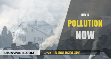 Pollution's Evolution: A World in Flux