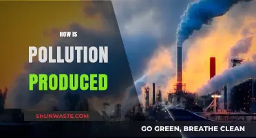 The Earth Suffocates: Understanding Pollution's Origins