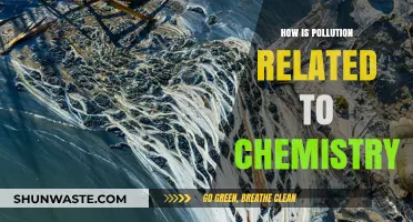 Chemistry's Impact: Pollution and Our World