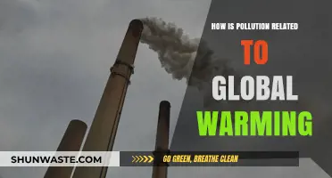 The Warming World: Pollution's Impact