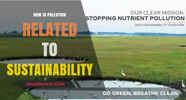 Pollution's Impact: Sustainability's Bane or Boon?