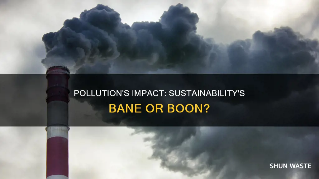 how is pollution related to sustainability