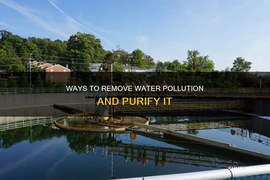 how is pollution removed from water