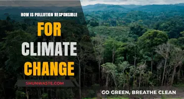 Climate Change: Pollution's Impact and Our Future