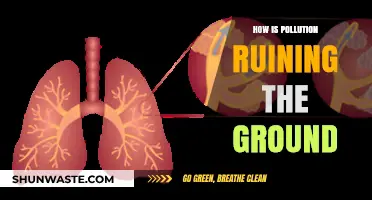 The Ground Suffocates: Pollution's Deadly Impact