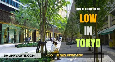 Tokyo's Secrets to Low Pollution Levels