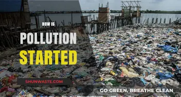 The Origin of Pollution: A Historical Perspective
