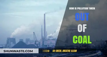 Cleaning Coal: Removing Pollution Before Burning