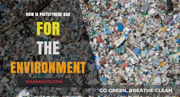 Polystyrene's Environmental Impact: Harmful Effects and Sustainable Alternatives