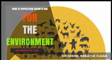 Population Growth's Environmental Impact: Threats to Sustainability and Ecosystems