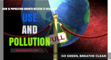 Population Growth: Resource Strain and Pollution Nexus