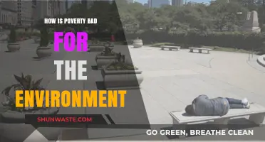 Poverty's Environmental Toll: How Economic Hardship Harms Our Planet