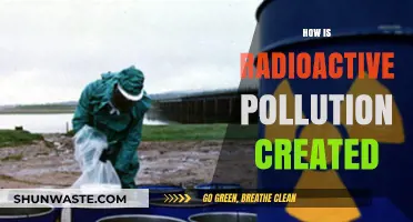 Radioactive Pollution: Causes and Human Impact