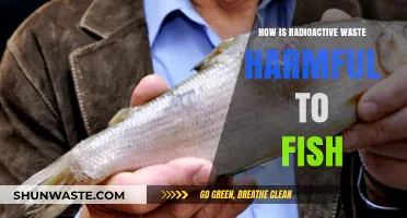 Radioactive Waste's Toxic Impact on Aquatic Life and Fish Health